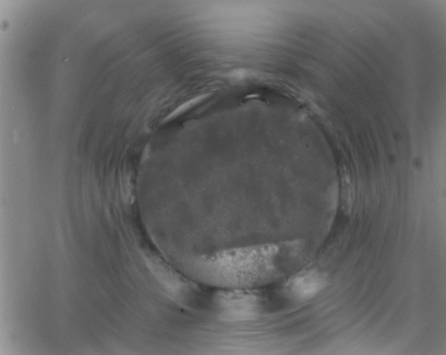 X0000058830331200510031353