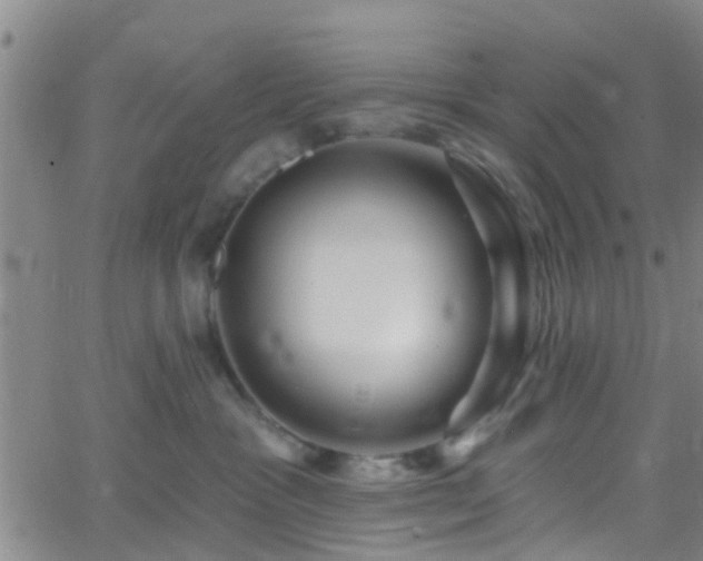 X0000058830333200510031353