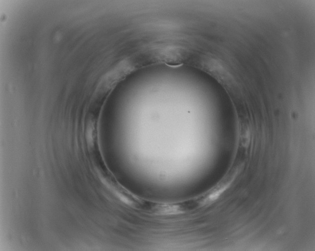 X0000058830334200510031353