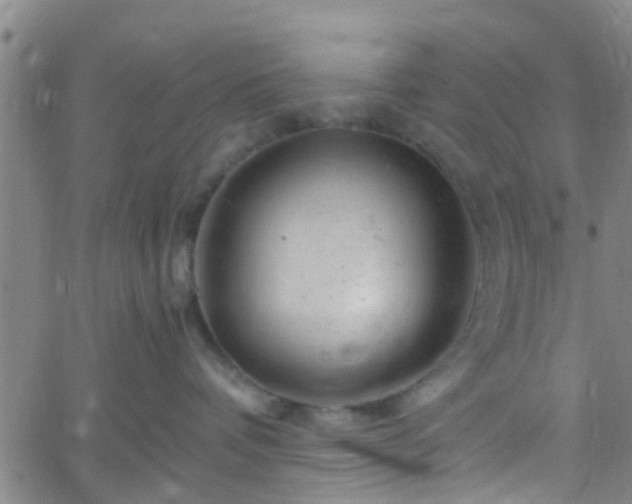 X0000058830336200510031353