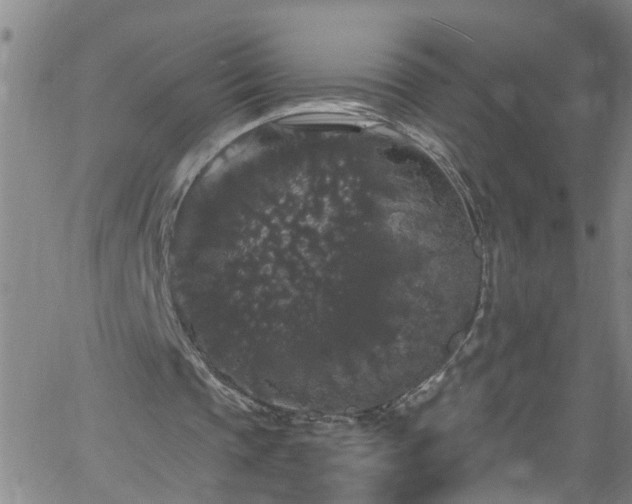 X0000058830337200510031352