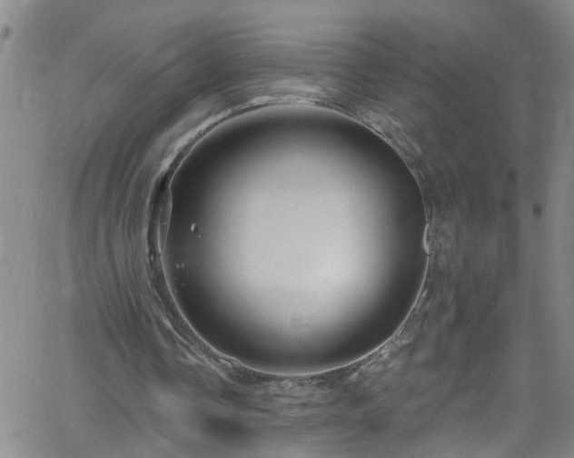 X0000058830338200510031352