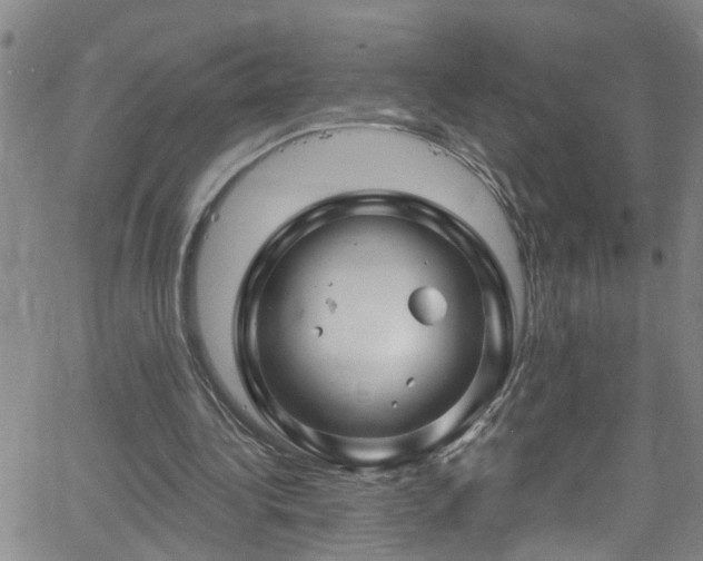 X0000058830340200510031352