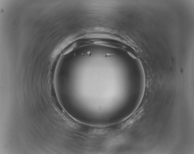 X0000058830341200510031352