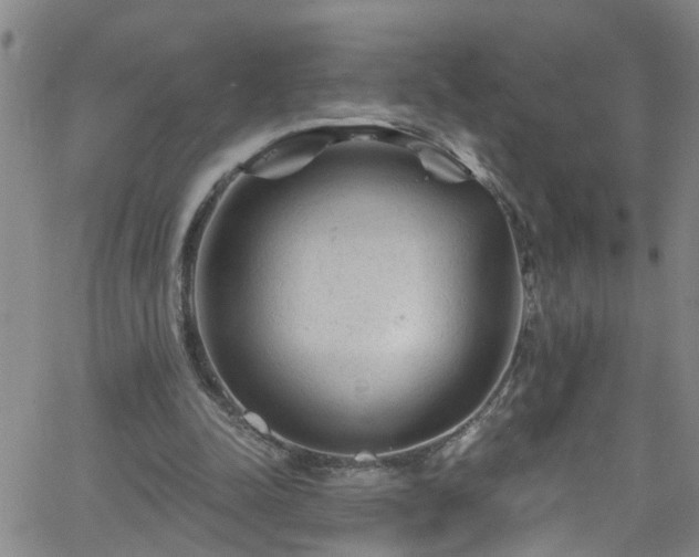 X0000058830342200510031352