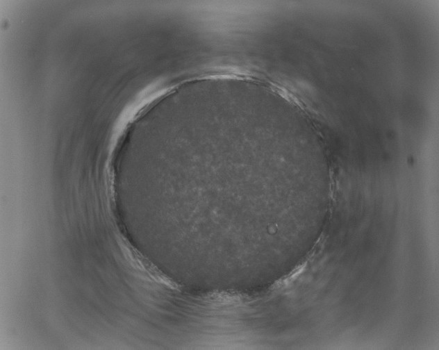 X0000058830343200510031352