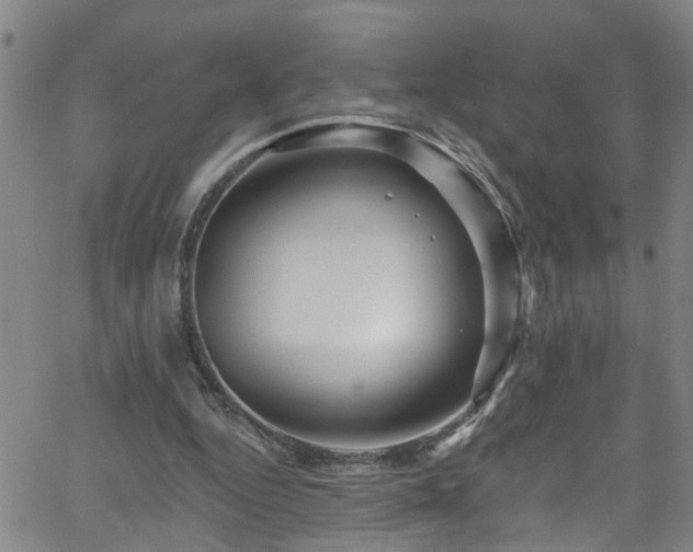 X0000058830344200510031352