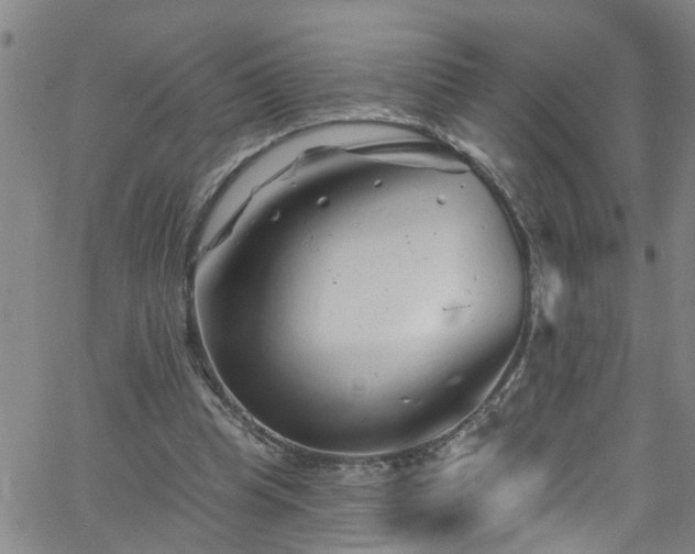 X0000058830345200510031352