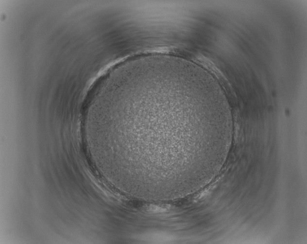 X0000058830346200510031352