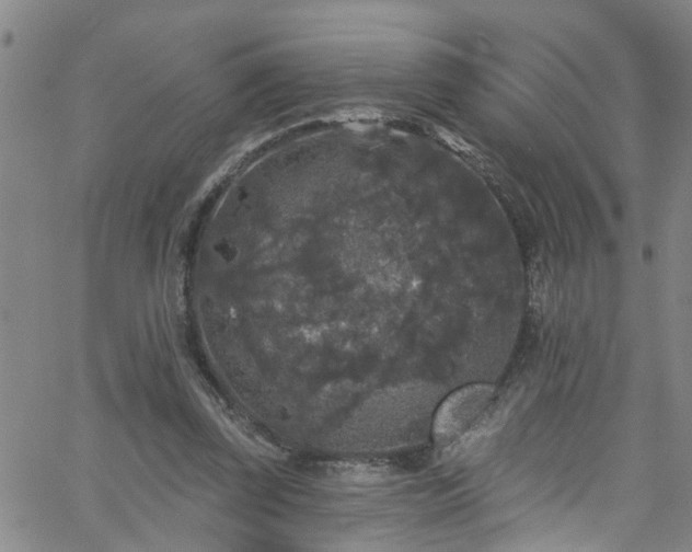 X0000058830347200510031352