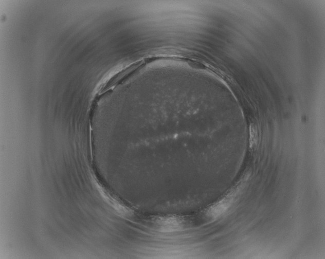 X0000058830349200510031352