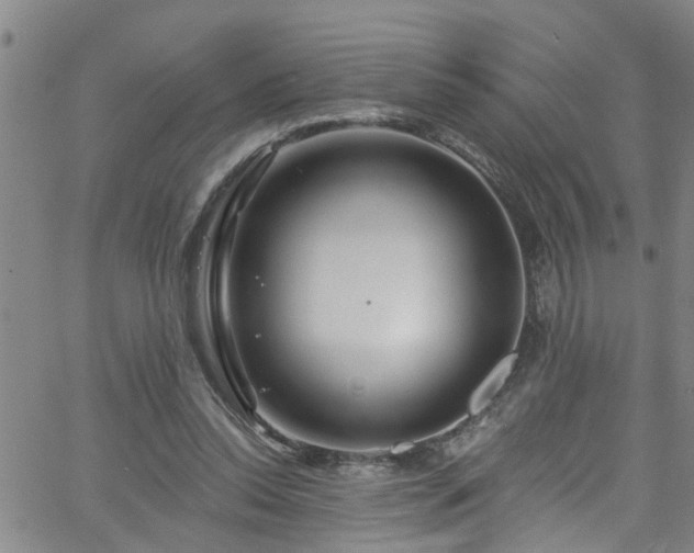 X0000058830350200510031352