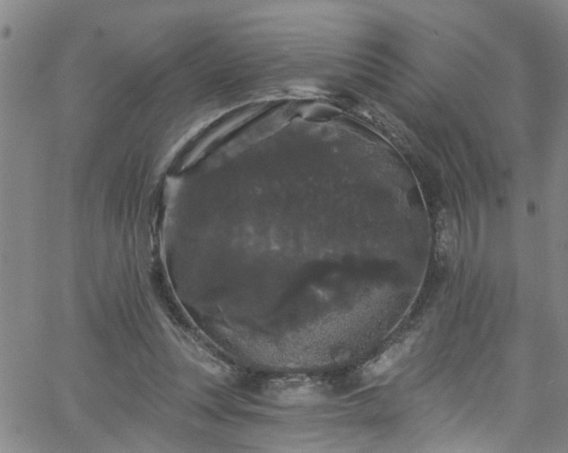 X0000058830351200510031352