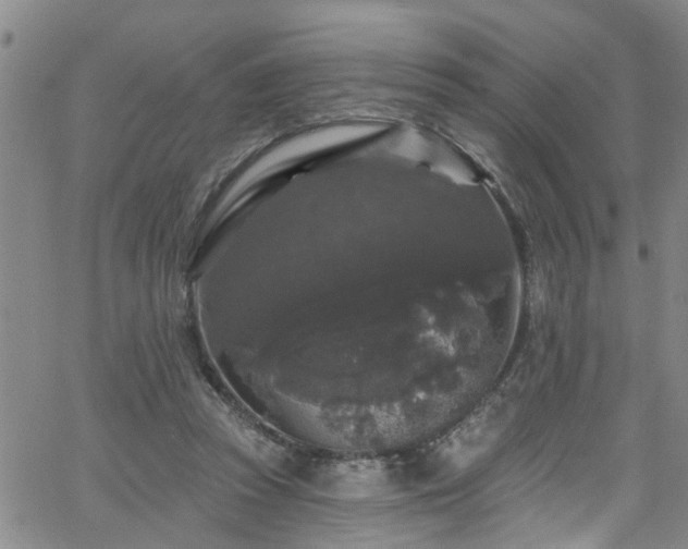 X0000058830353200510031352