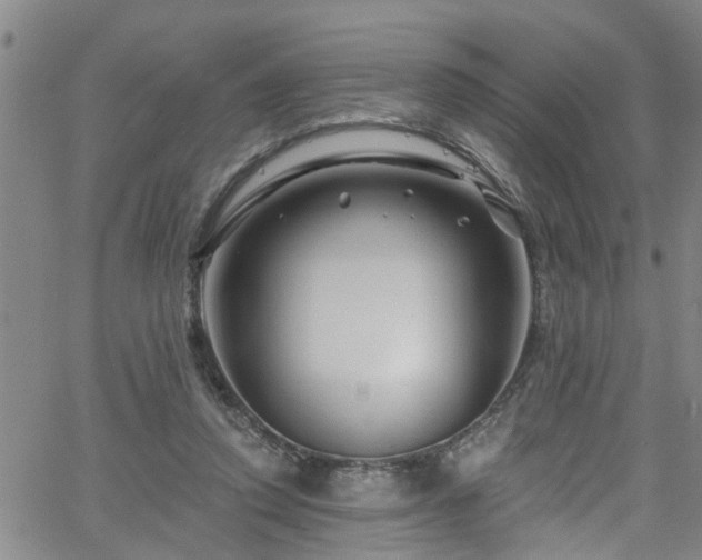 X0000058830354200510031352