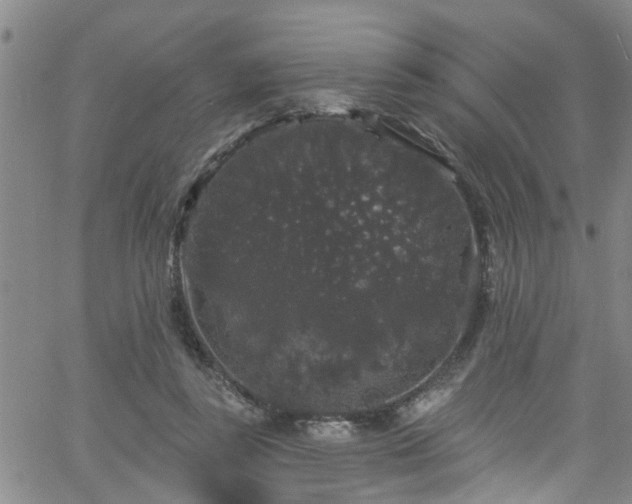 X0000058830355200510031352