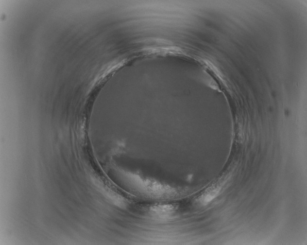 X0000058830357200510031352