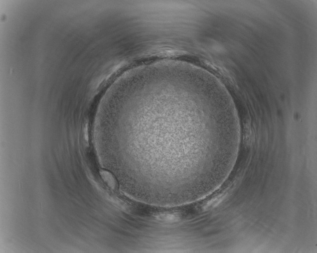 X0000058830358200510031353