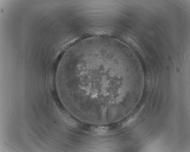 X0000058830359200510031353