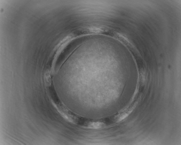 X0000058830360200510031353