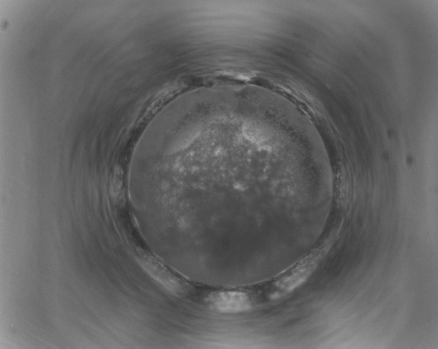 X0000058830361200510031353