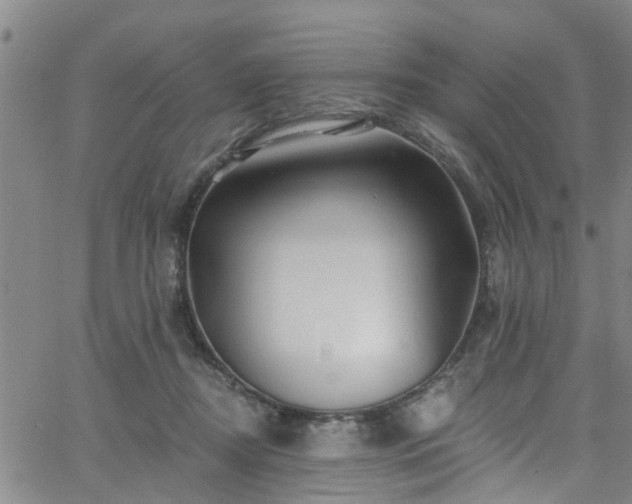 X0000058830362200510031353