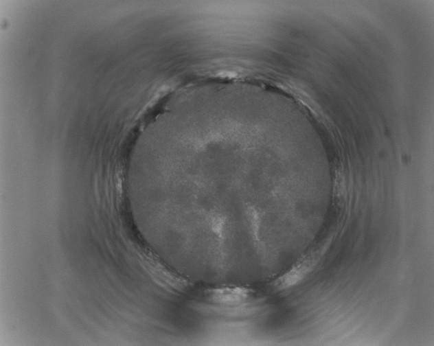 X0000058830363200510031353