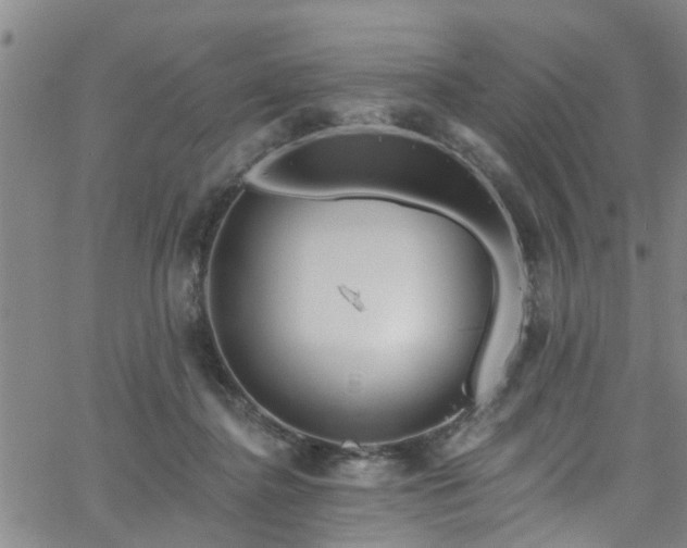 X0000058830364200510031353