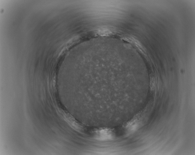 X0000058830365200510031353