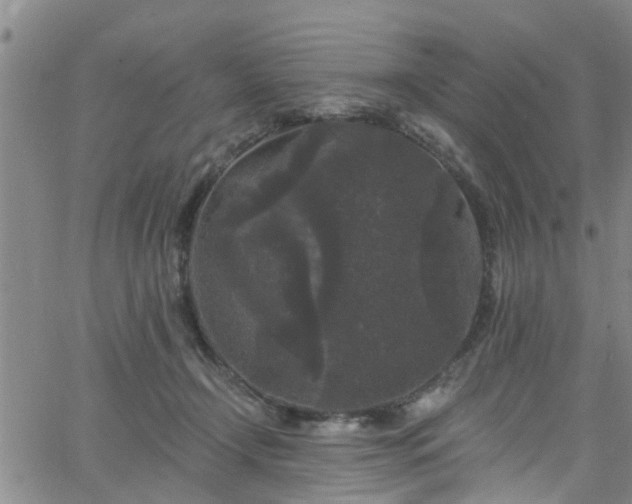 X0000058830366200510031353