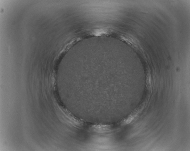 X0000058830367200510031353