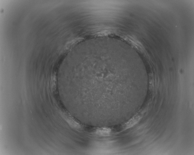 X0000058830369200510031353