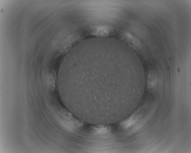 X0000058830370200510031353