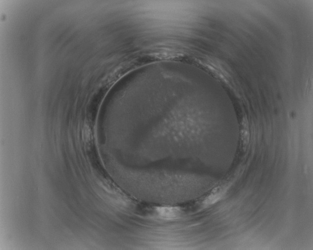 X0000058830371200510031353