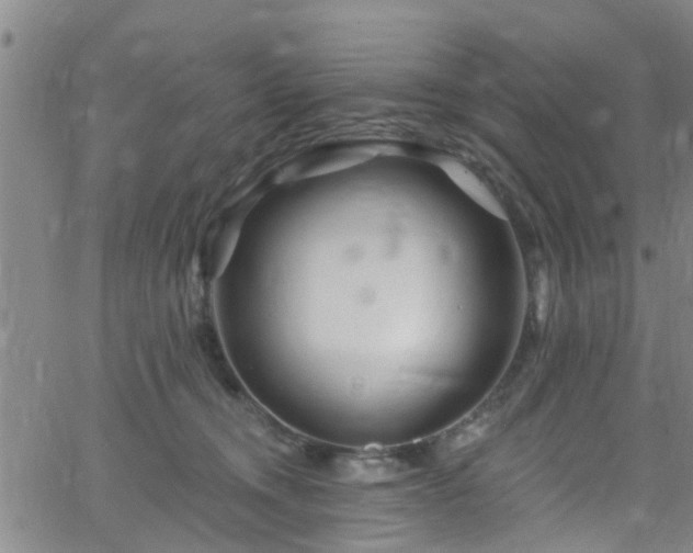 X0000058830372200510031353