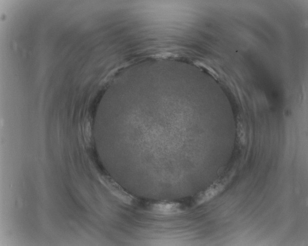 X0000058830375200510031353