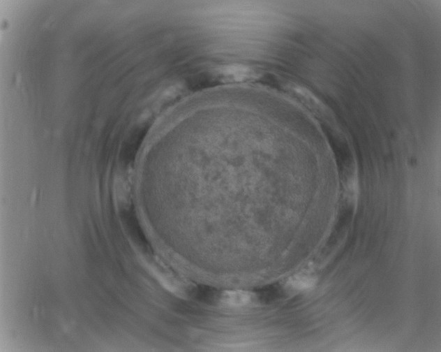 X0000058830376200510031353