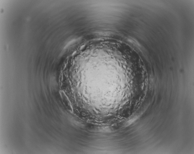 X0000058830377200510031353