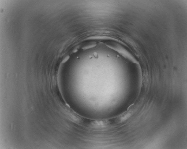 X0000058830381200510031353