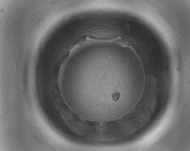 X0000058830382200510031353