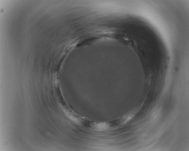 X0000058830383200510031353