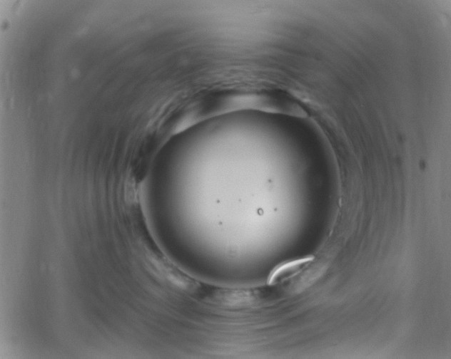 X0000058830384200510031353