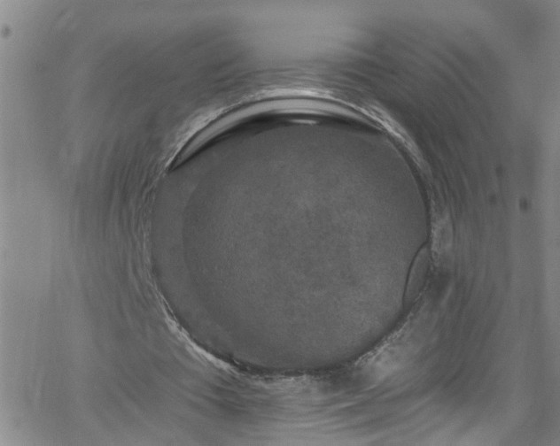 X0000058830385200510031352