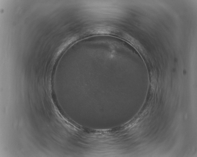 X0000058830386200510031352