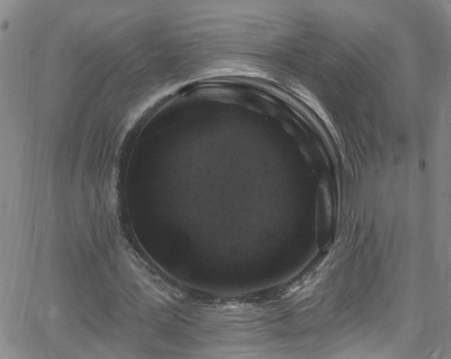 X0000058830387200510031352