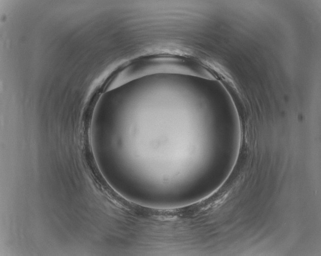 X0000058830388200510031352