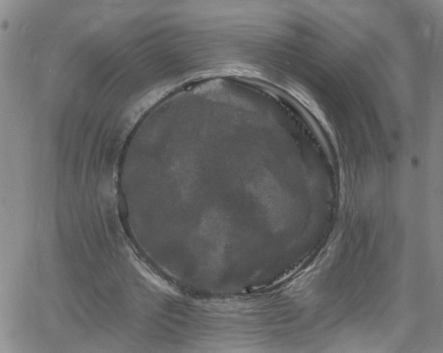 X0000058830389200510031352