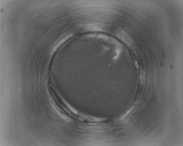 X0000058830390200510031352