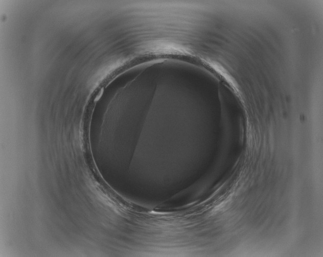 X0000058830391200510031352