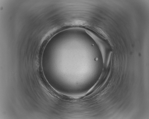 X0000058830392200510031352